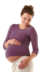 Gravid